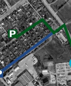 tulpiu parkavimas karmelava